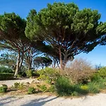 Daire Entierement Renove Avec Terrasse
