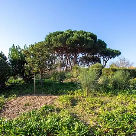 Διαμέρισμα Entierement Renove Avec Terrasse *