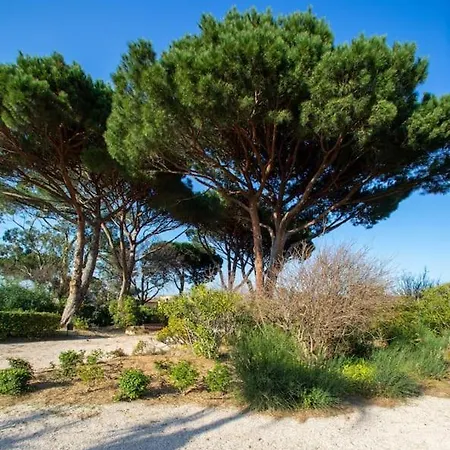 Διαμέρισμα Entierement Renove Avec Terrasse