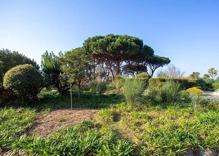Appartamento Entièrement Rénové Avec Terrasse *