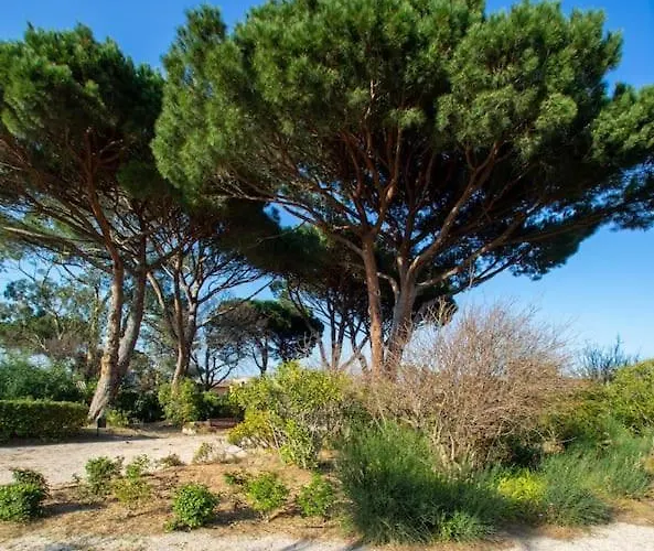 Appartamento Entièrement Rénové Avec Terrasse