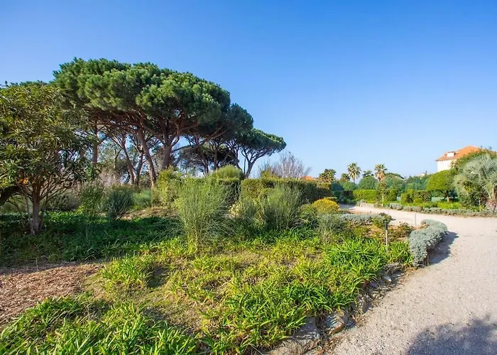 Daire Entierement Renove Avec Terrasse *